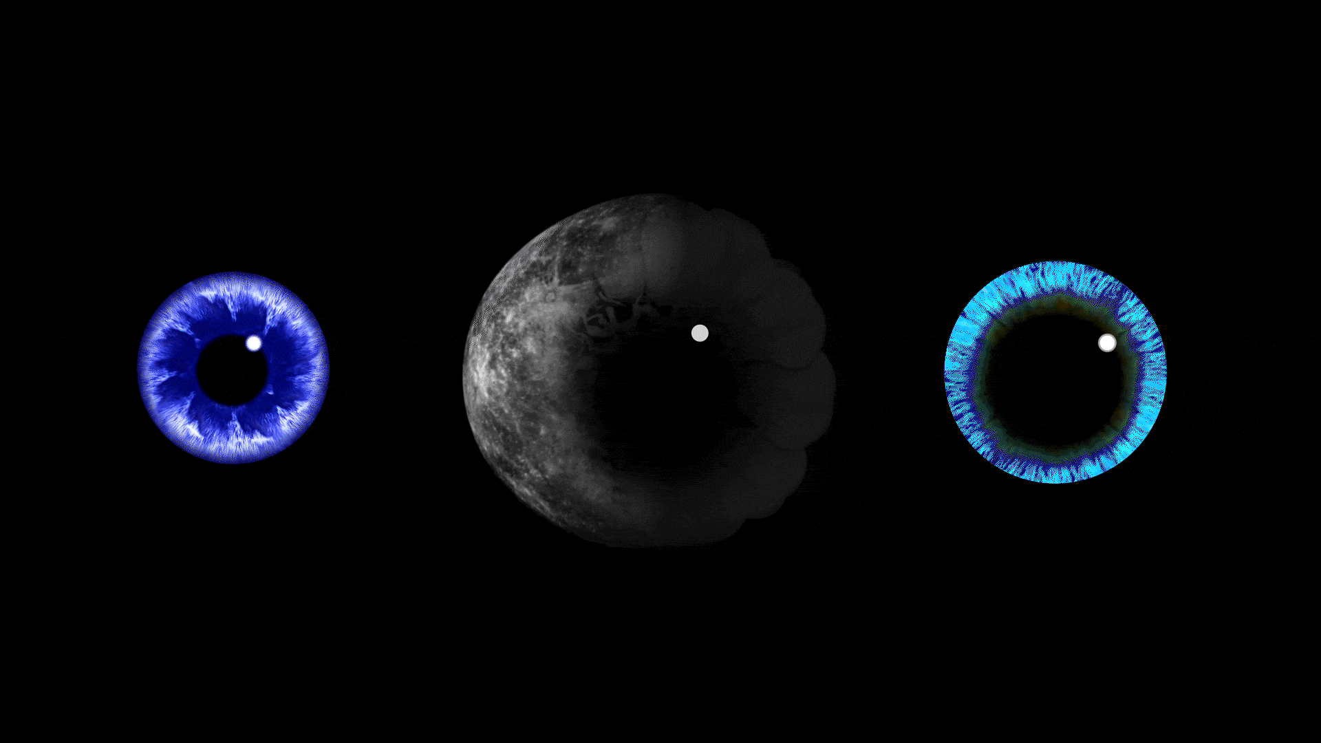eye installation art